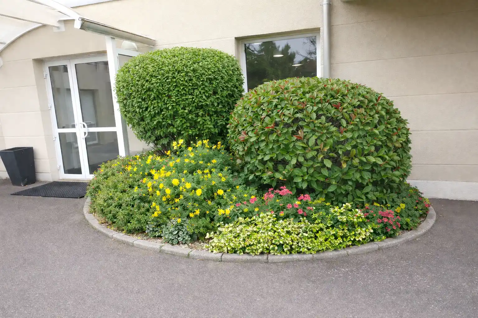 Arbustes